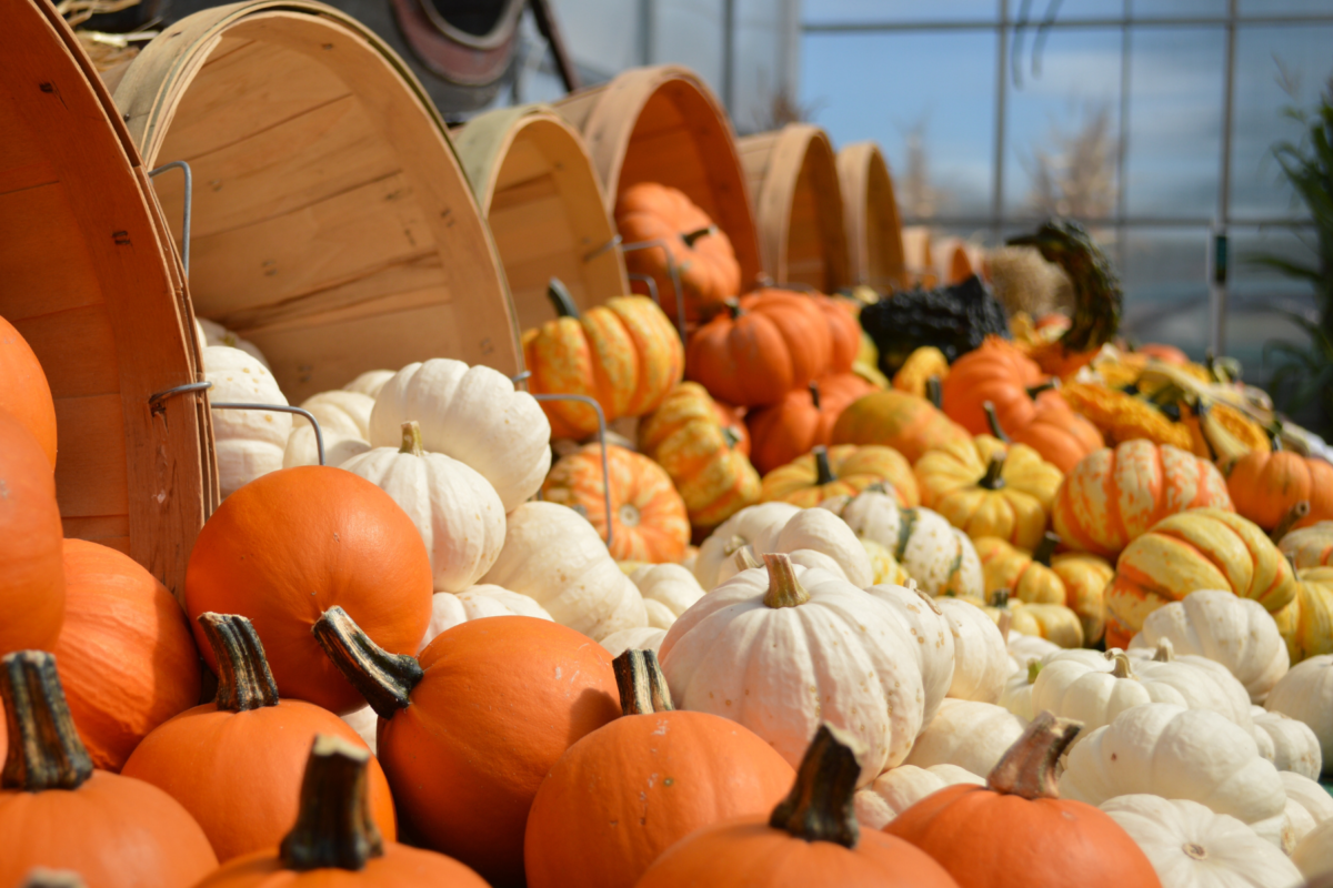 Things To Do In North Atlanta September 23rd 25th The Best Of North